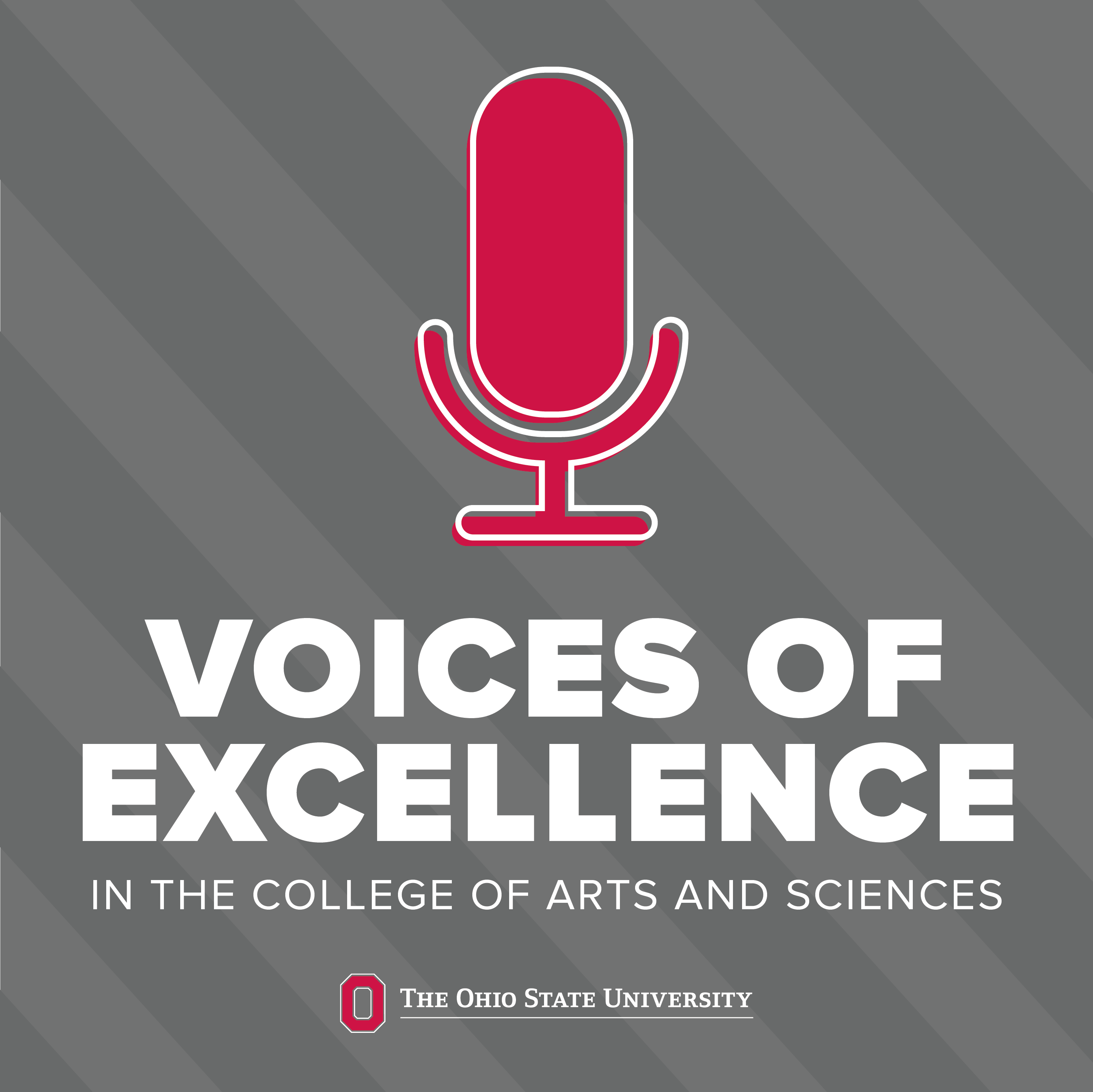 Voices of Excellence podcast artwork