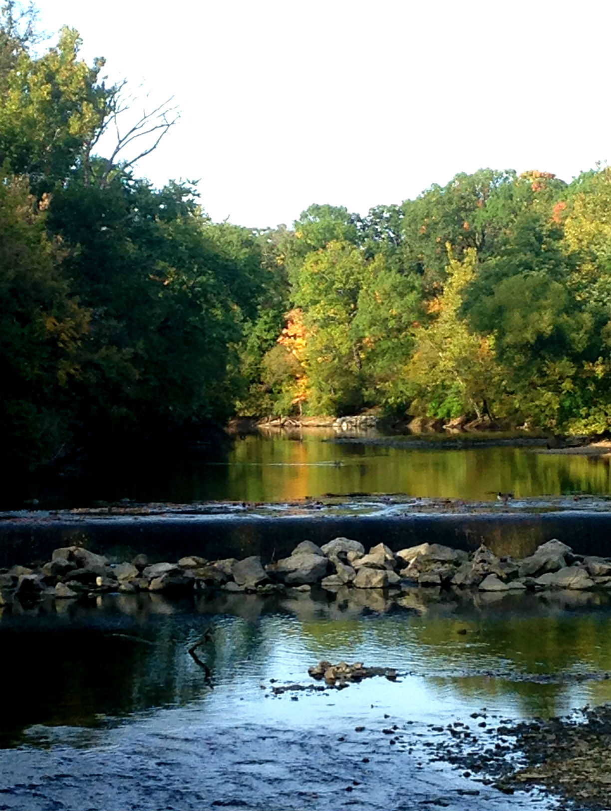 Olentangy River