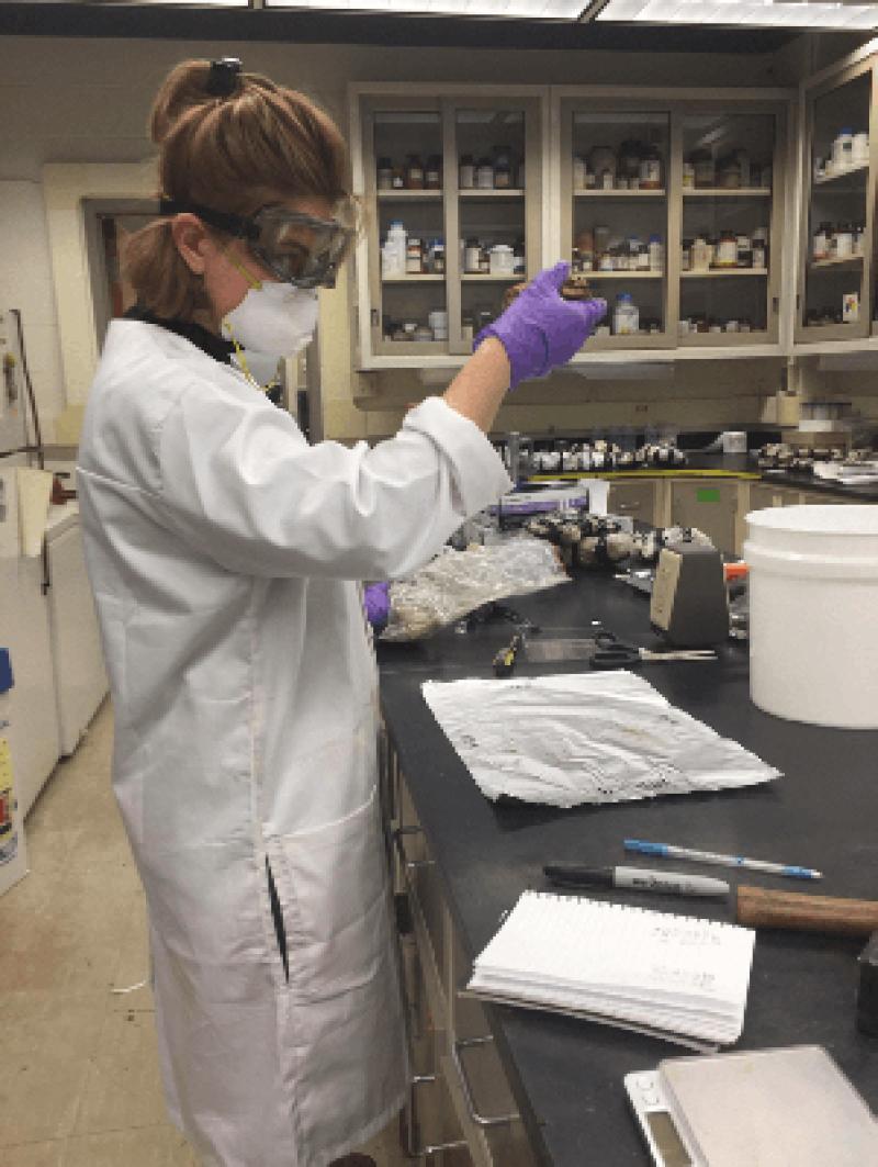 Annalee in the ASOM lab Annalee in the ASOM lab