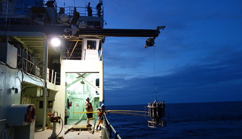 Researchers in the ocean