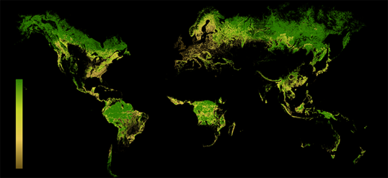 Forest Landscape Integrity Index showing anthropogenic modification of remaining forest