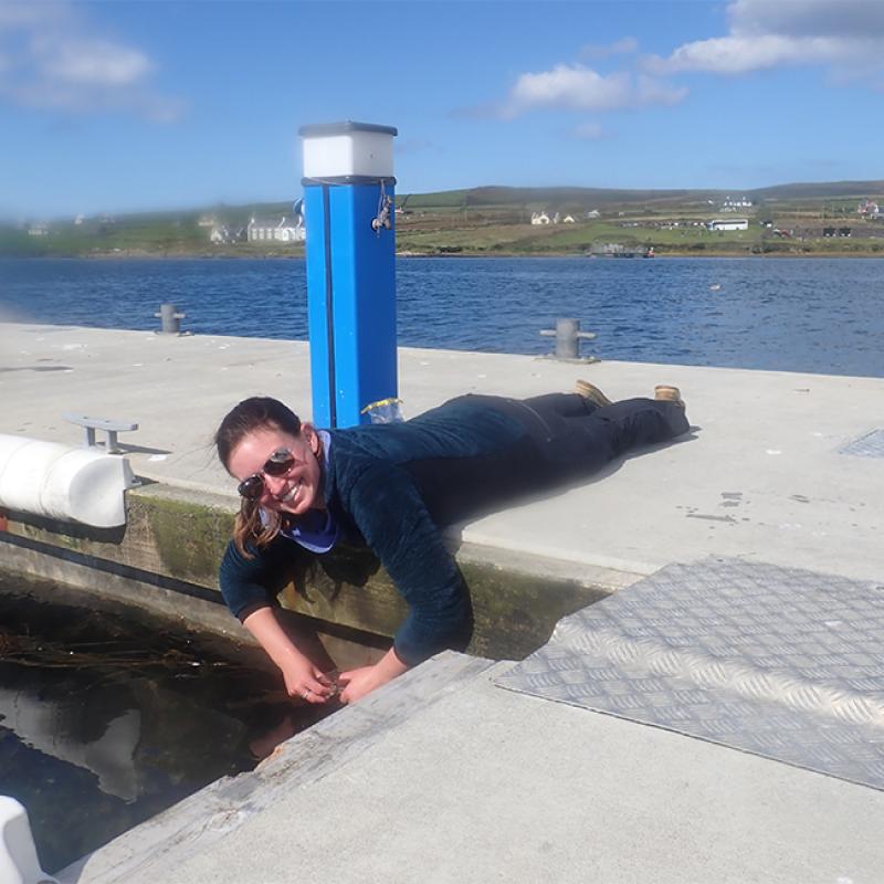 Heather collecting anemones from a dock in Ireland