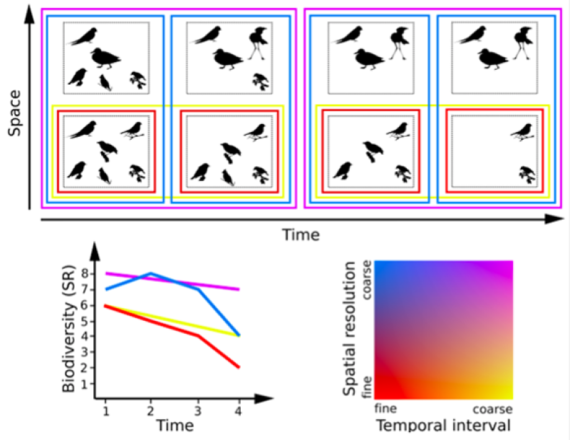 The potential effects of space and time on change in biodiversity (in terms of number of species)