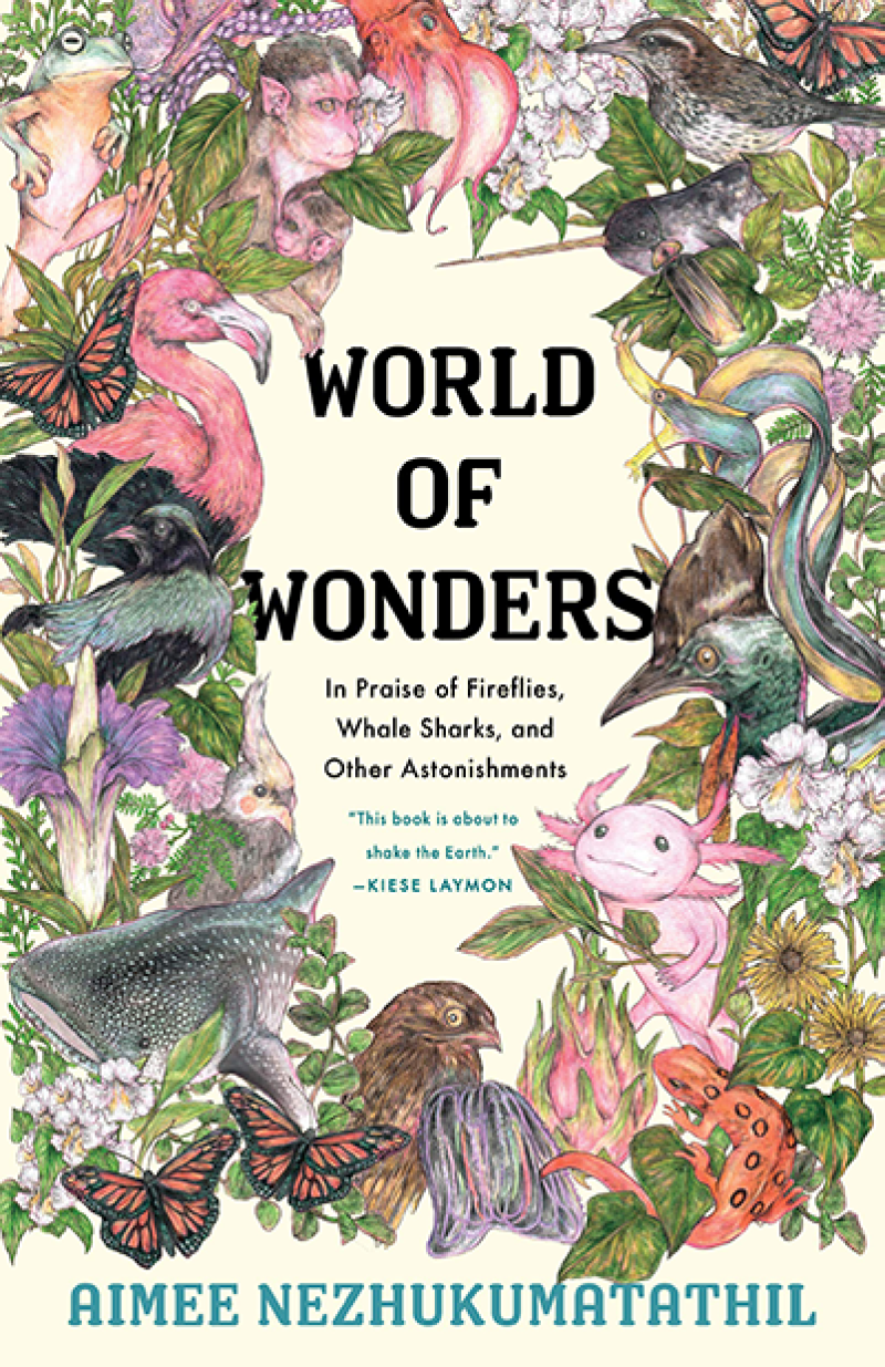 World of Wonders book cover