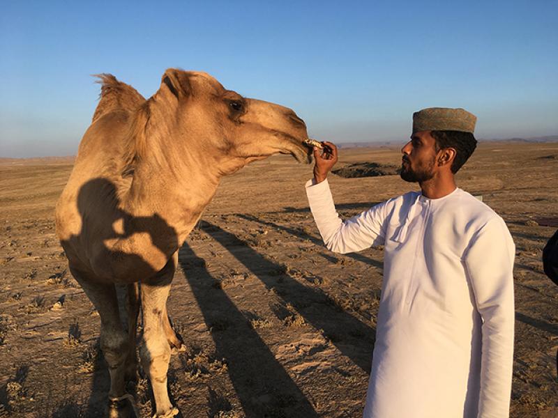 Camel Culture by Mark Moritz Camel Culture by Mark Moritz