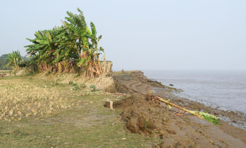 Remains of eroded embankment wall in Bangladesh Remains of eroded embankment wall in Bangladesh