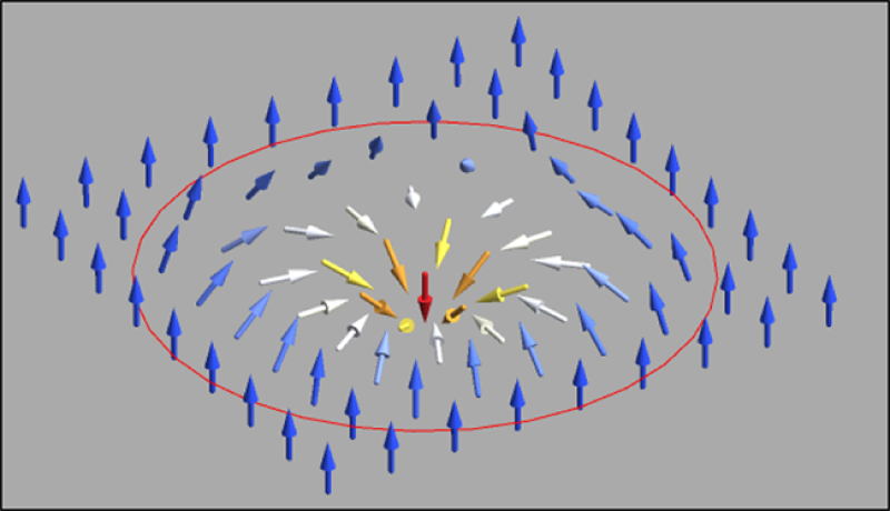 Spin texture in a single skyrmion diagram of spin texture in a single skyrmion