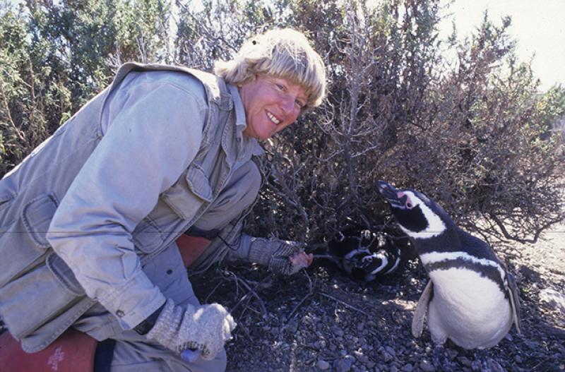 Dee Boersma, image courtesy Center for Ecosystem Sentinels