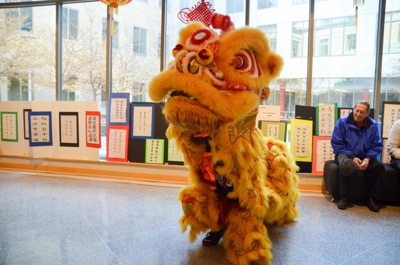 Lion dance performance photo of lion dance performance