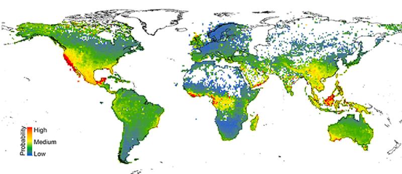This map shows the predicted levels of risk to more than 150,000 species of plants located worldwide, with warmer colors denoting areas with larger numbers of potentially at-risk species. Image courtesy Anahí Espíndola and Tara Pelletier. This map shows the predicted levels of risk to more than 150,000 species of plants located worldwide, with warmer colors denoting areas with larger numbers of potentially at-risk species. Image courtesy Anahí Espíndola and Tara Pelletier.