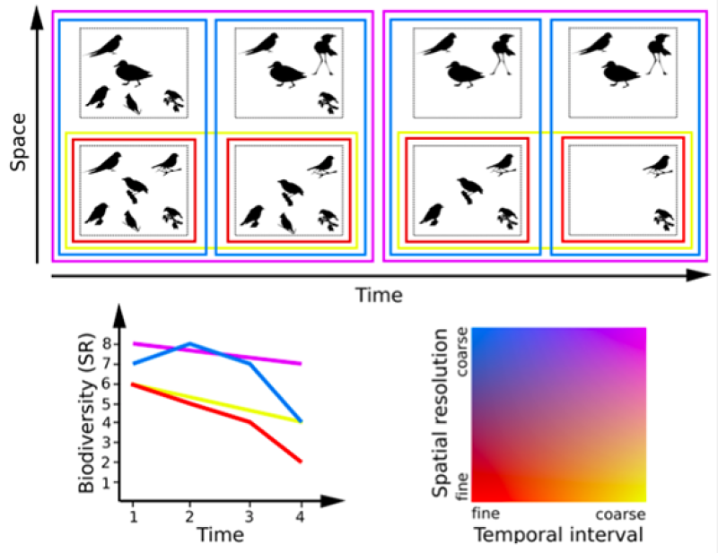 The potential effects of space and time on change in biodiversity (in terms of number of species) The potential effects of space and time on change in biodiversity (in terms of number of species)