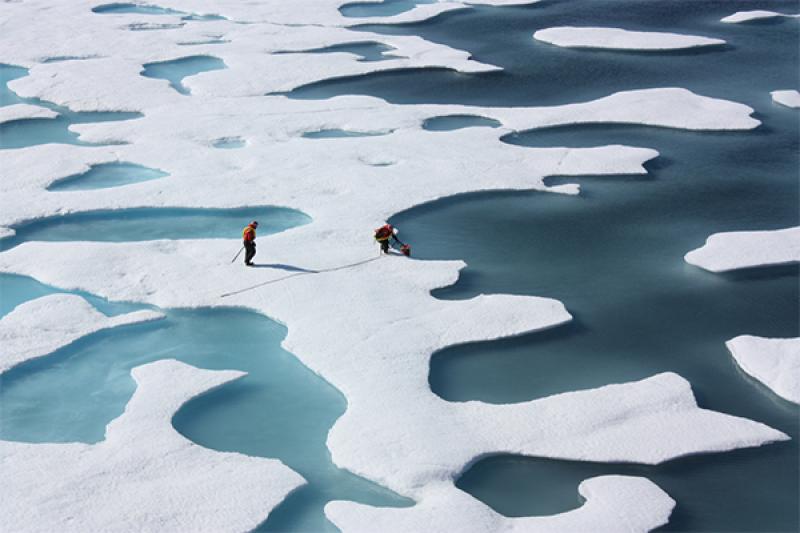 Arctic sea ice Arctic sea ice