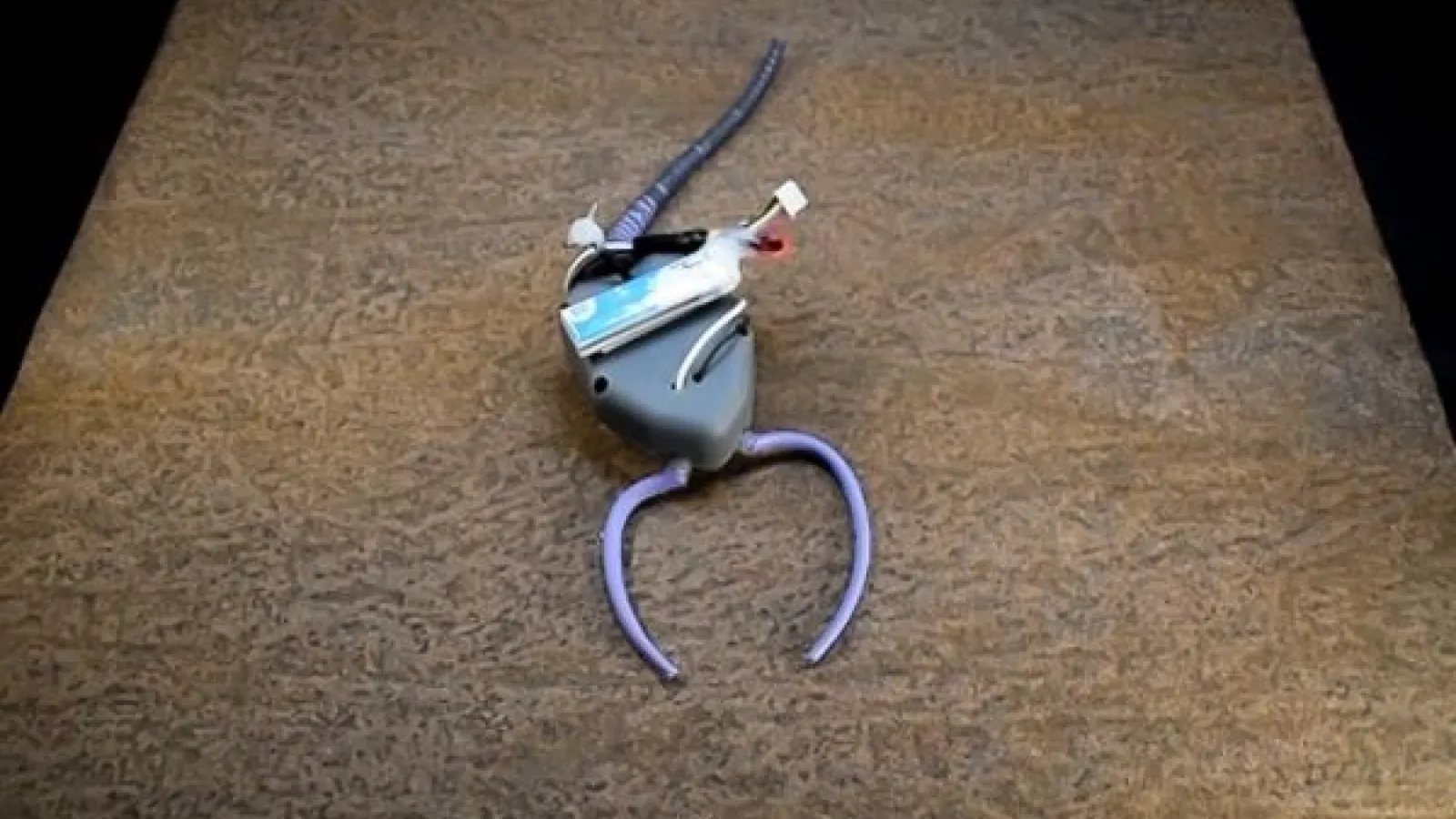 a small robot