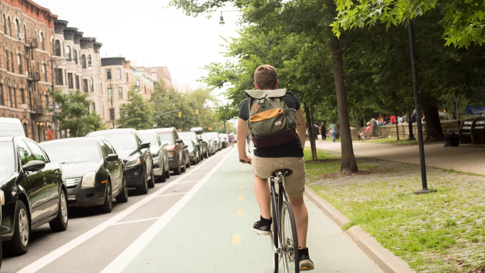 A man rides a bike down a tree-lined city road
