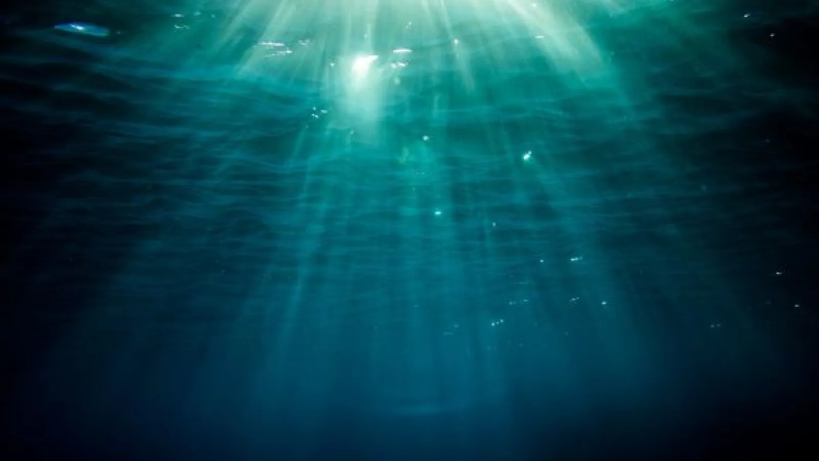 ocean underwater