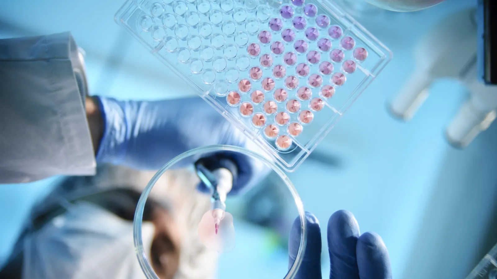 scientists working at a lab bench