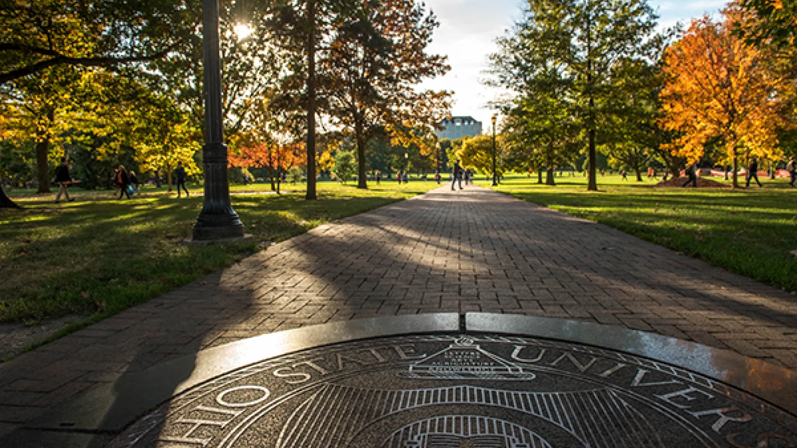 The Oval in the autumn