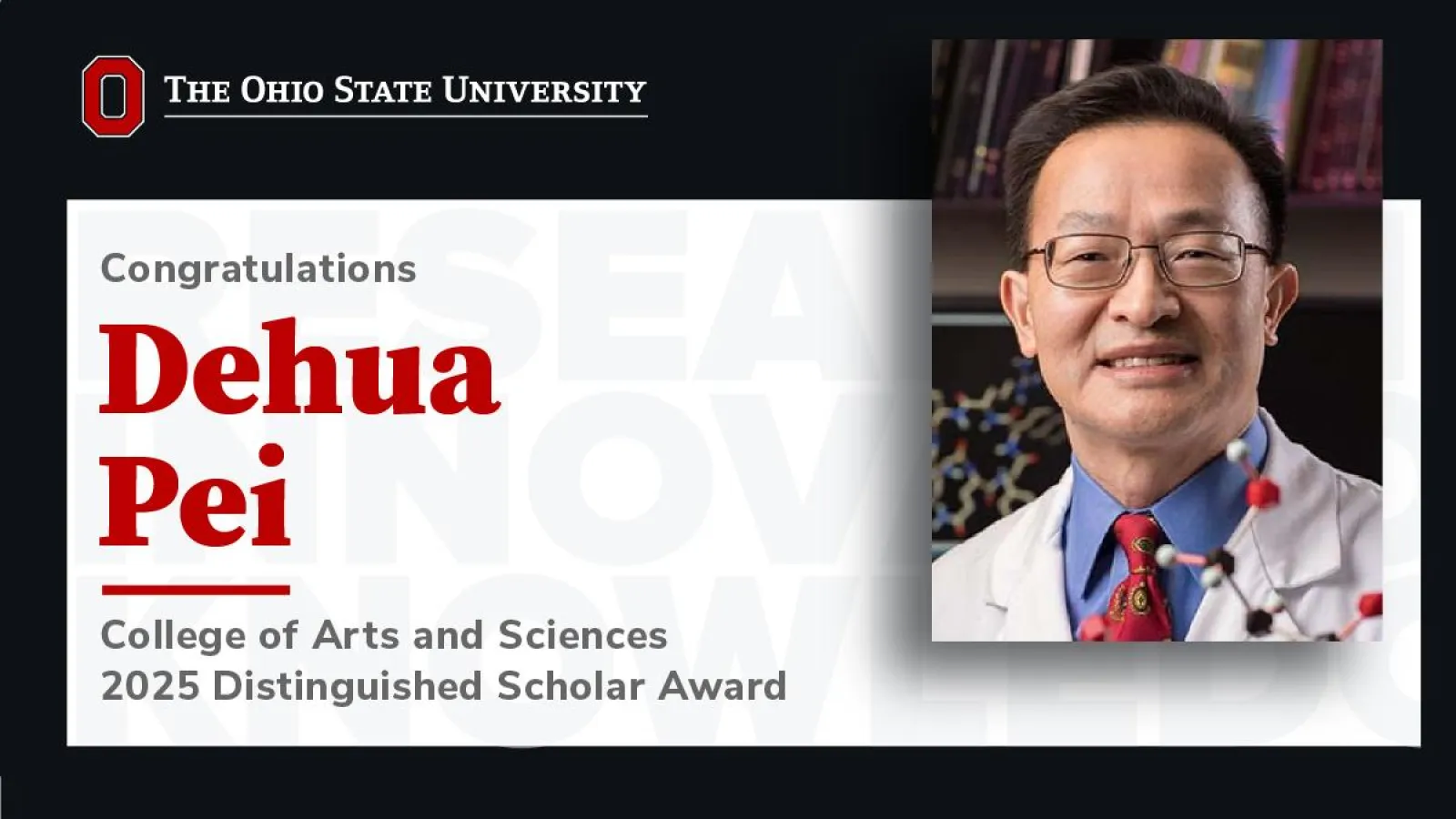 Dehua Pei Distinguished Scholar Award
