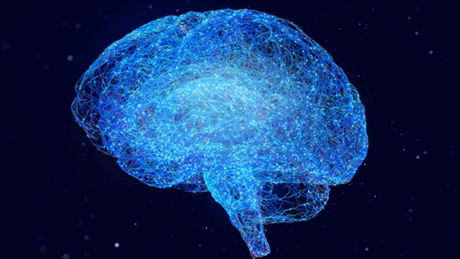 Connectivity between parts of the brain can explain the function of each region.