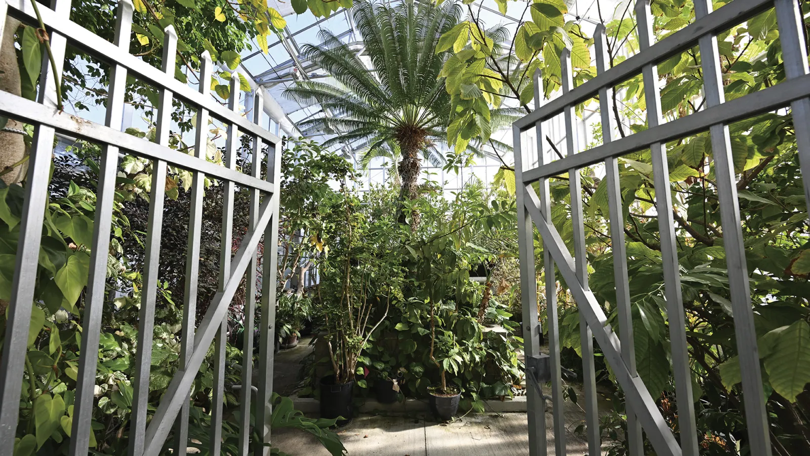 Entrance to the conservatory