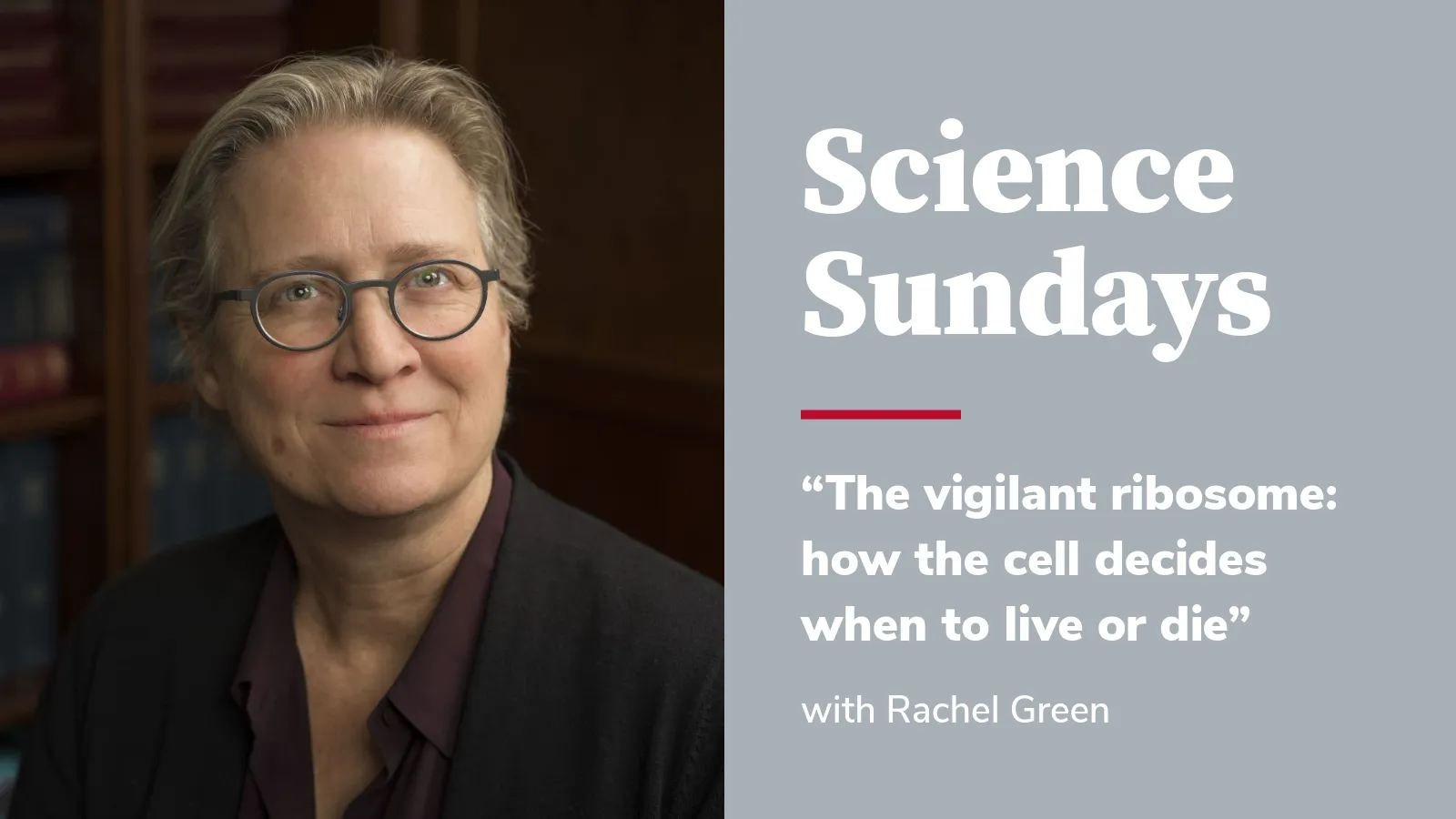 Science Sundays Rachel Green