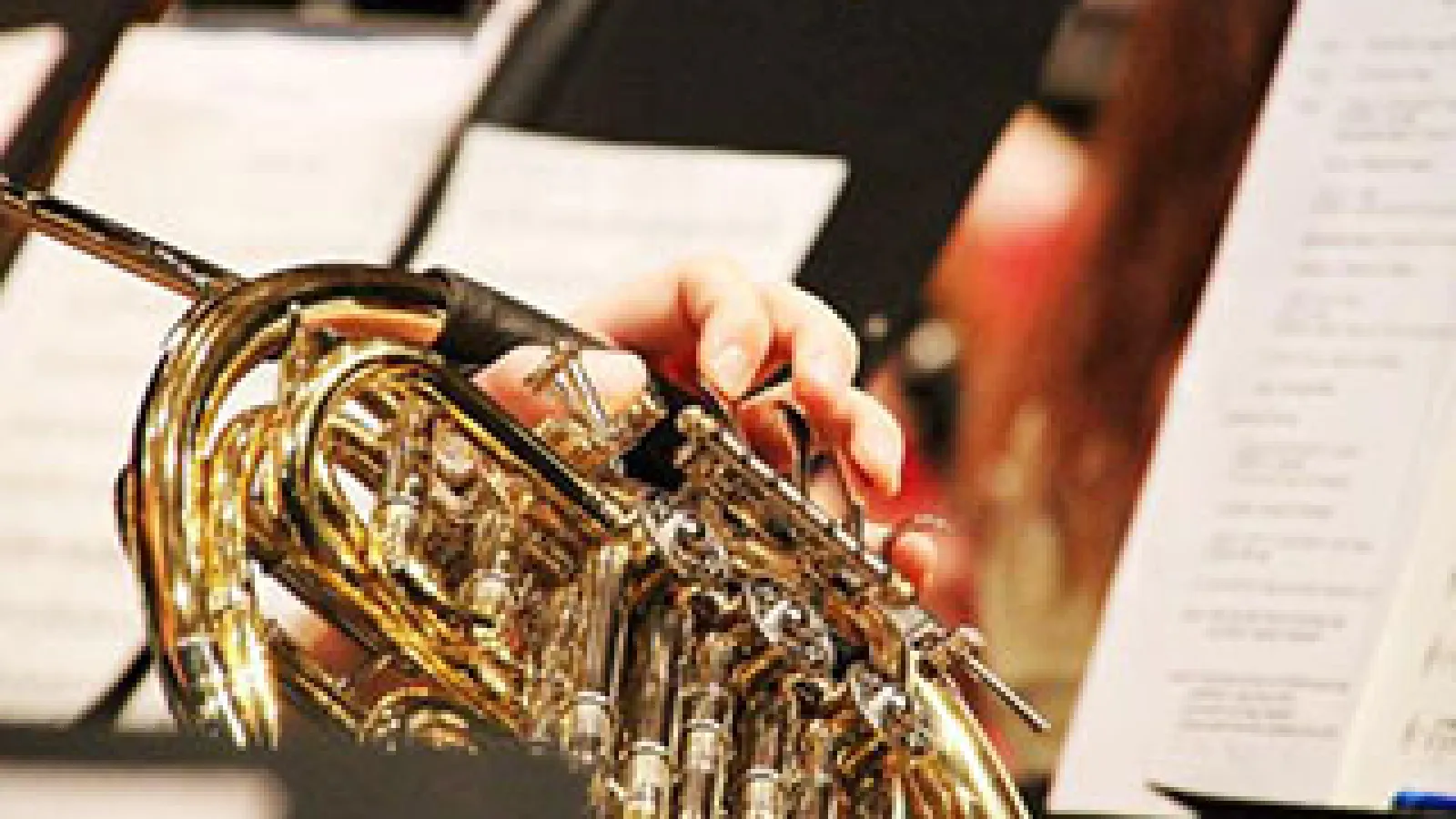 A French horn
