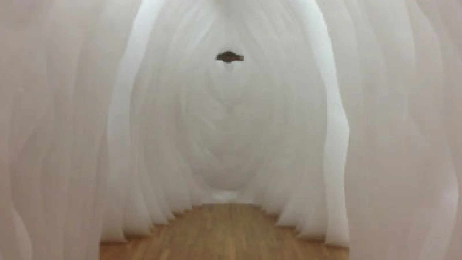 Inside the Whale