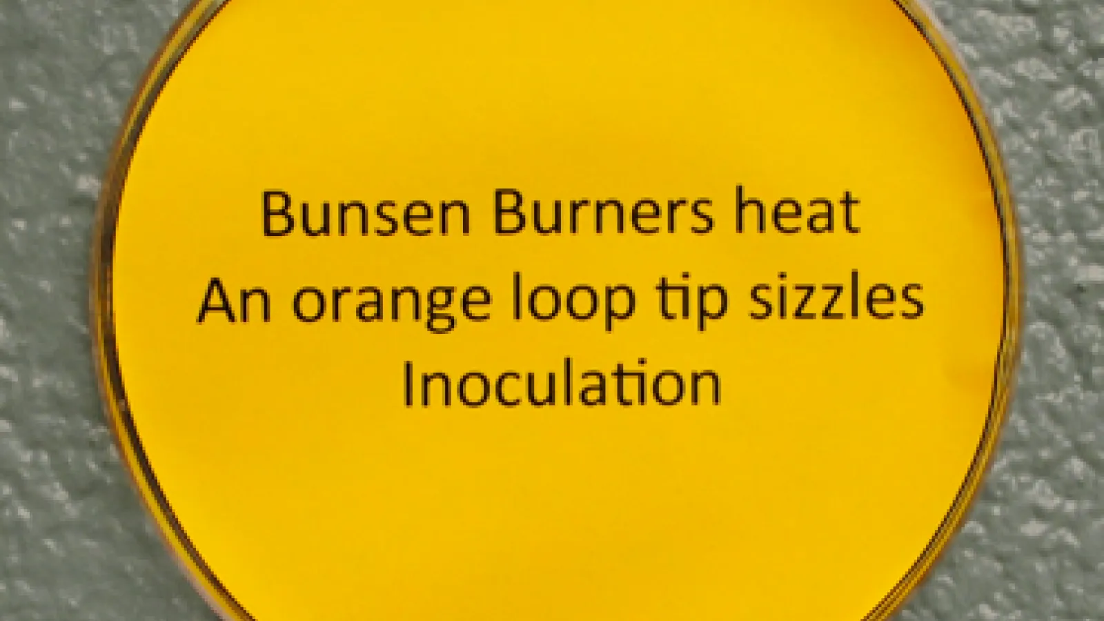 one haiku sample from the haiku microbe wall 