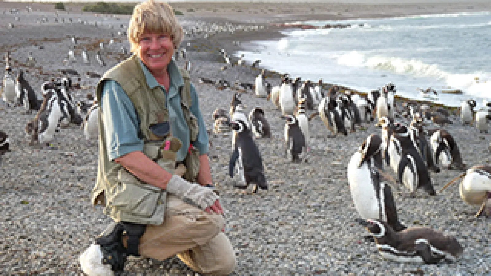 Dee Boersma, image courtesy Center for Ecosystem Sentinels