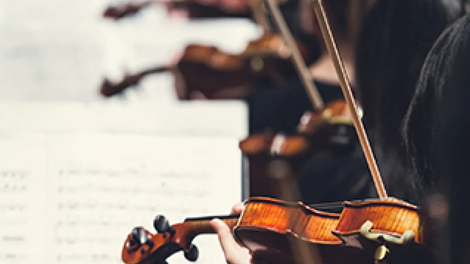 String instruments