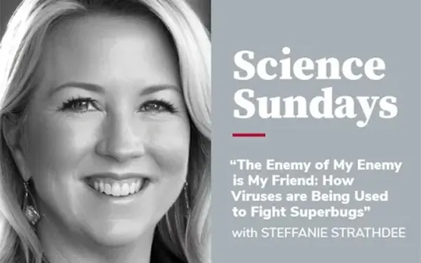 The Enemy of My Enemy is My Friend: How Viruses are Being Used to Fight Superbugs