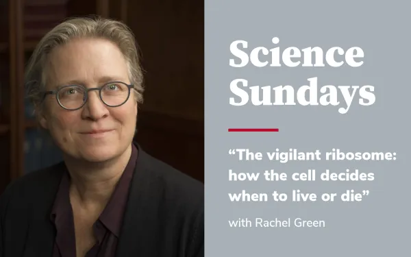 Science Sundays Rachel Green