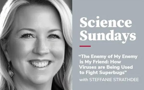 The Enemy of My Enemy is My Friend: How Viruses are Being Used to Fight Superbugs