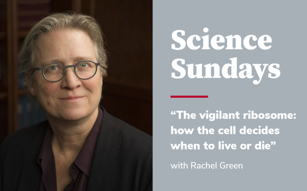 Science Sundays Rachel Green