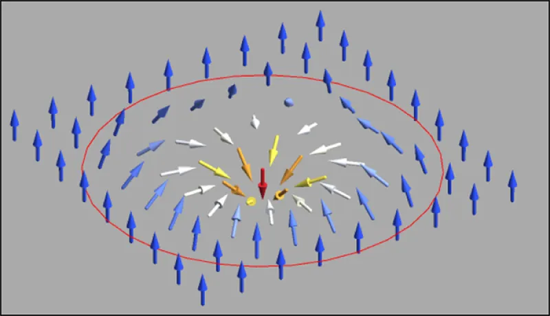 diagram of spin texture in a single skyrmion