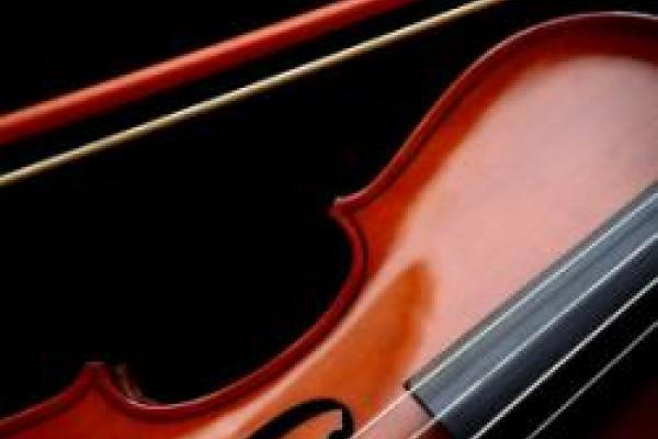 Violin