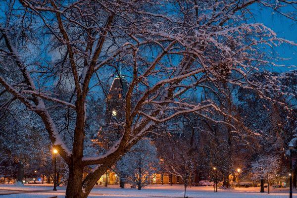 Winter trees at dusk, in front of University Hall, a brick building with a tall tower