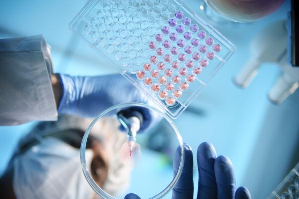 scientists working at a lab bench
