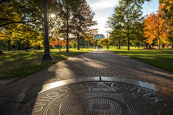 The Oval in the autumn