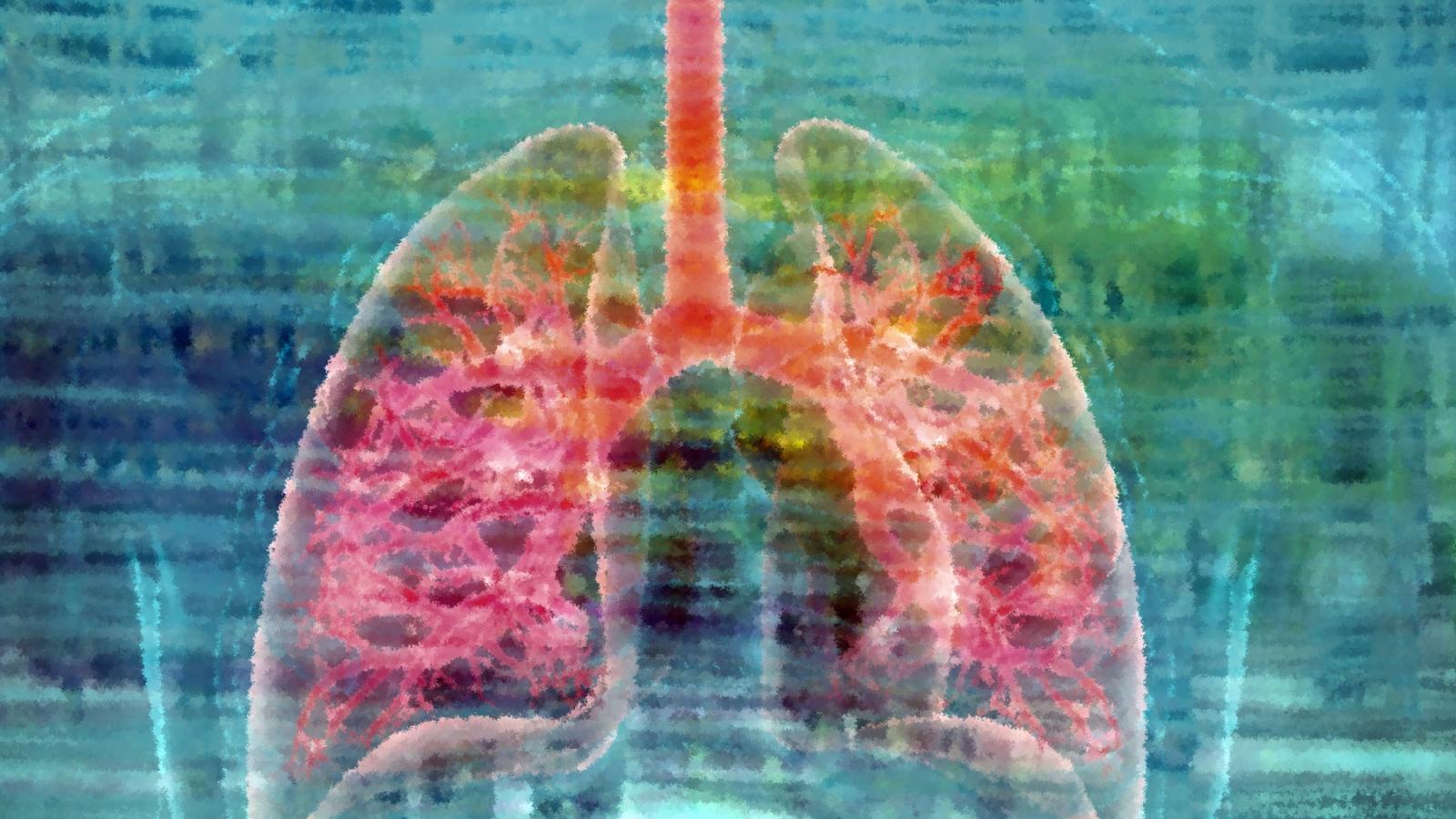 illustration of the lungs inside the body
