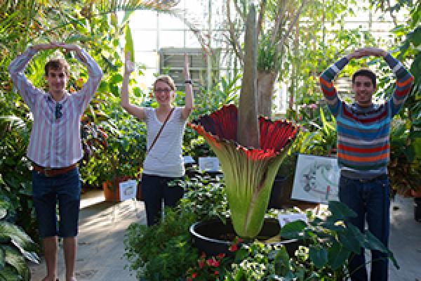 Posing with a blooming titan arum "Woody" at Biological Sciences Greenhouse at Ohio State in 2013 Posing with a blooming titan arum "Woody" at Biological Sciences Greenhouse at Ohio State in 2013
