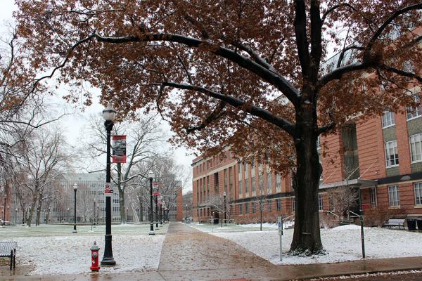 Campus image