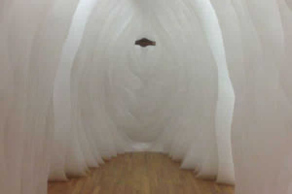 Inside the Whale Inside the Whale