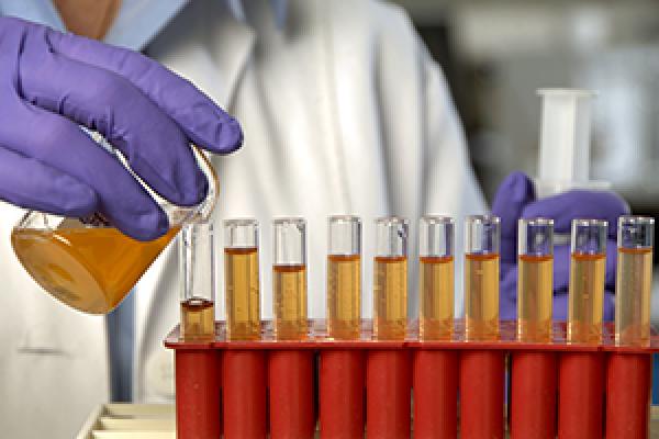 Laboratory