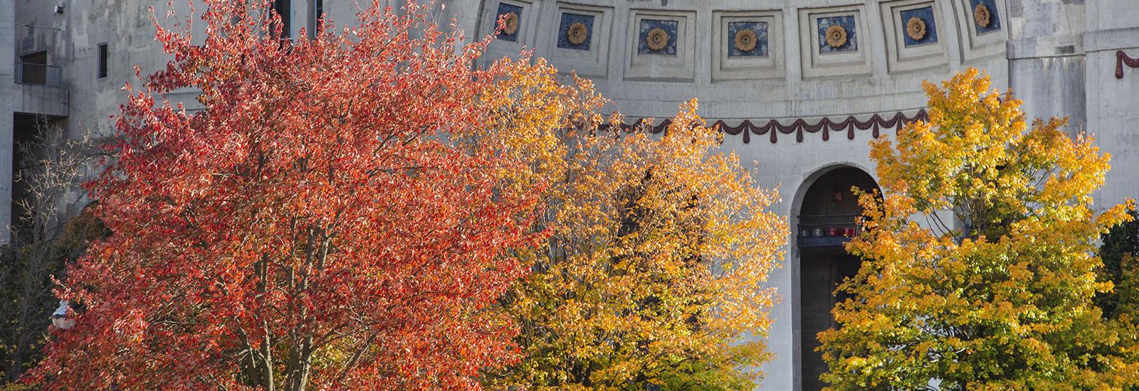 Ohio Stadium in the fall